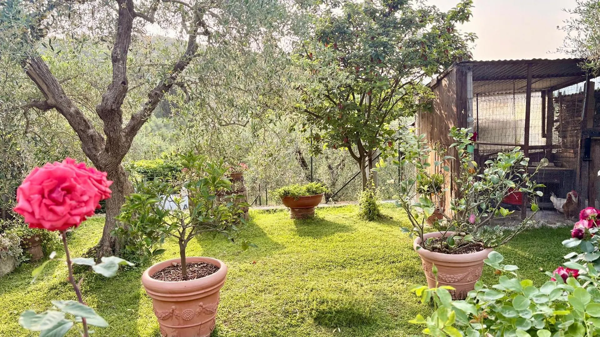 B&B Il Pozzo Sinalunga Italy