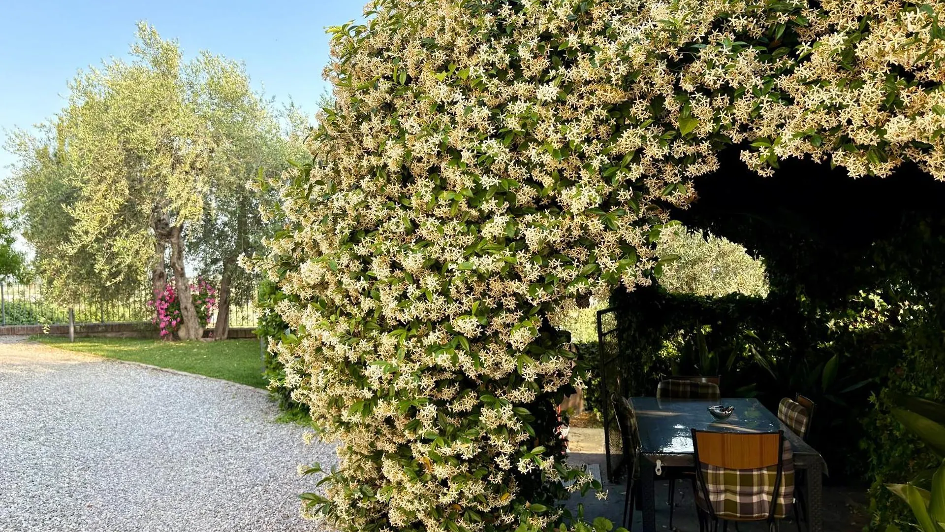 B&B Il Pozzo Sinalunga Italy